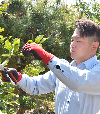 植木1本、草刈りなどの小規模なご依頼も大歓迎!