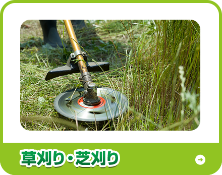 草刈り・芝刈り