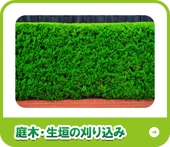 庭木・生垣の刈り込み