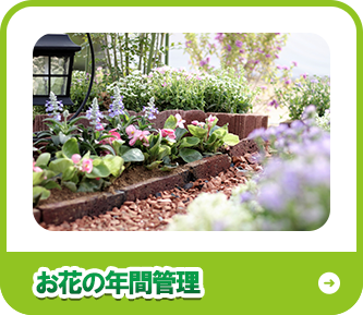 お花の年間管理