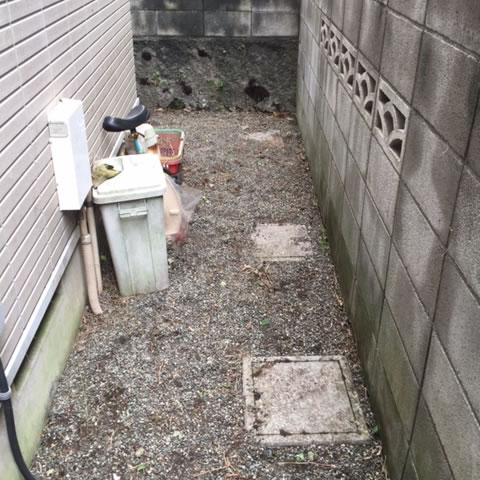 人力除草のビフォーアフター