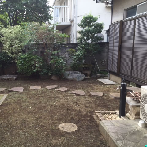 機械除草のビフォーアフター