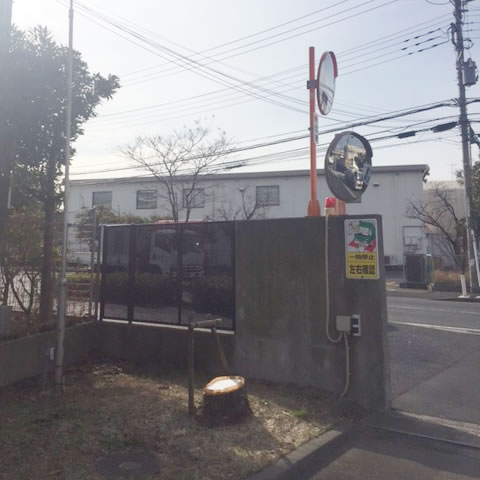 伐採のビフォーアフター