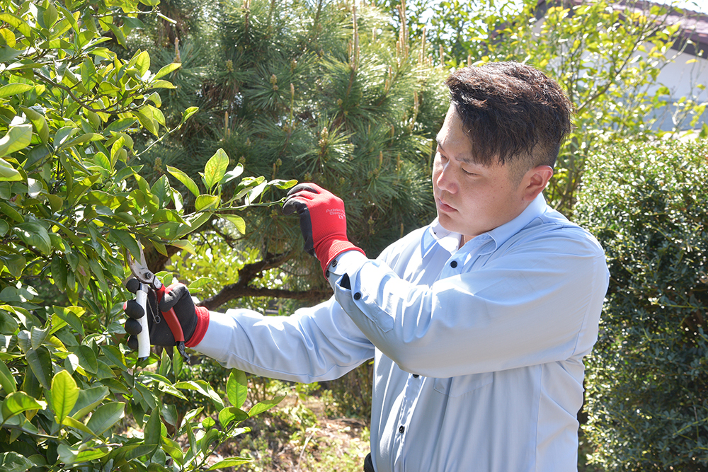 植木1本、草刈りなどの小規模なご依頼も大歓迎!