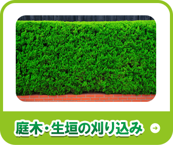 庭木・生垣の刈り込み