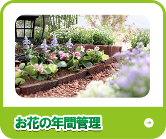 お花の年間管理