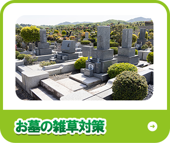 お墓の雑草対策
